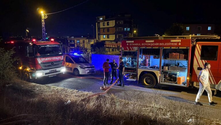 istanbulda-orman-yangini-alevler-3-bin-metrekareye-yayildi-QfZa96Mh.jpg